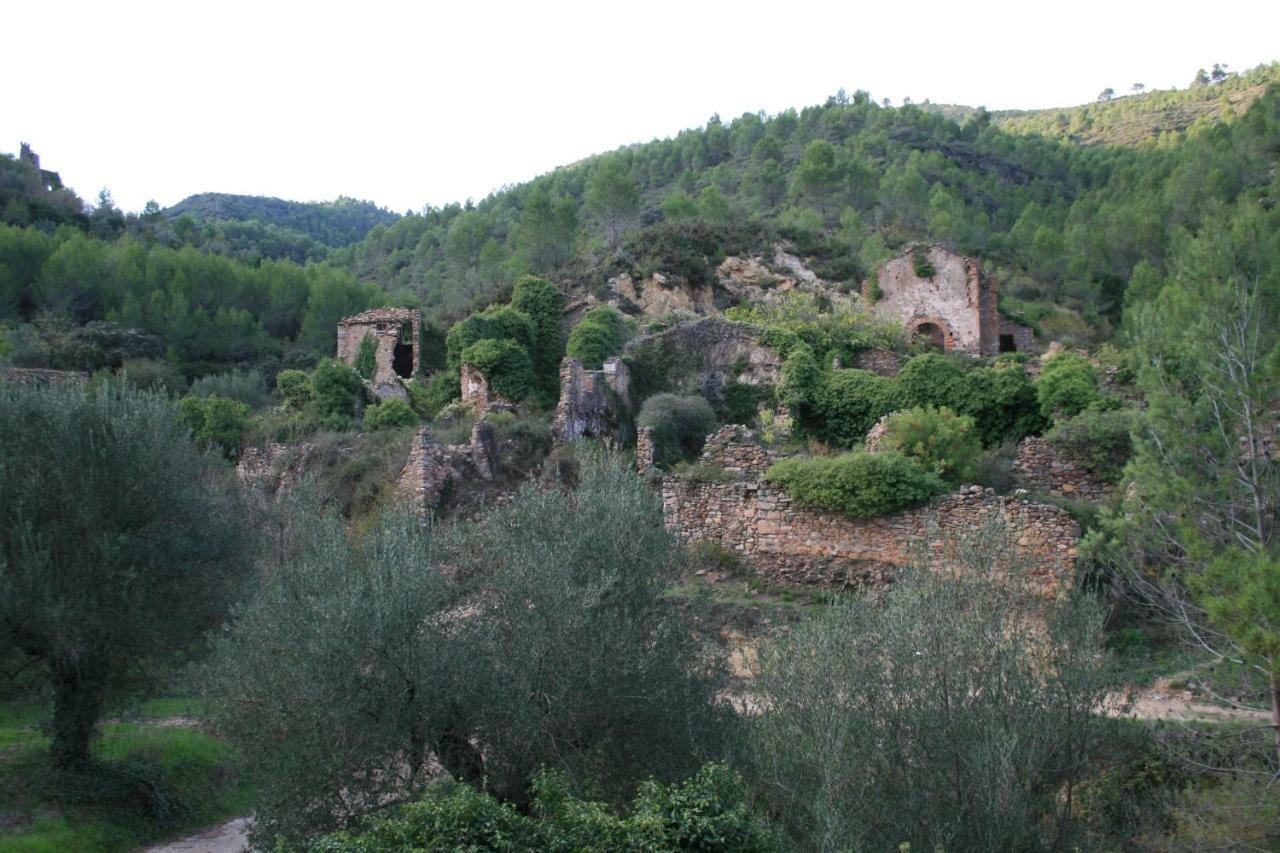 Casa La Chelva Gospodarstwo wiejskie